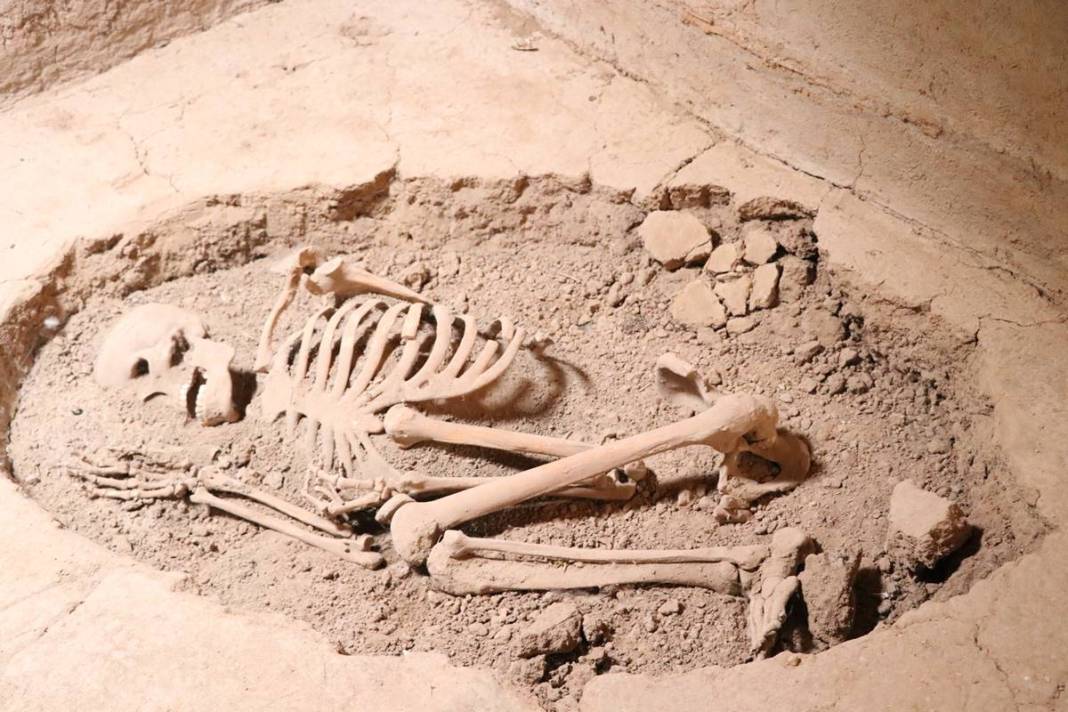 Dünyanın ilk beyin ameliyatı meğer o kentimizde yapılmış! 10 bin 500 yıl öncesine ait kafatası bulundu 1